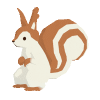 Squirrel 動物 Sticker