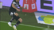 Celebration X GIF by SK Sturm