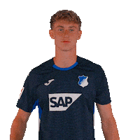 Sport Bundesliga Sticker by TSG Hoffenheim