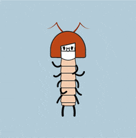 Orange Oc GIF