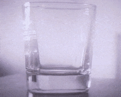 Drink Cheers GIF