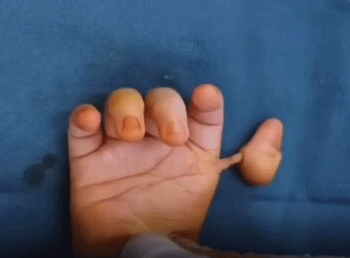 jacksonhwang giphyupload GIF