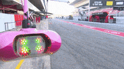 formula 1 barcelona GIF by SportPesa Racing Point F1 Team