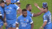 fc grenoble hug GIF by FCG Rugby