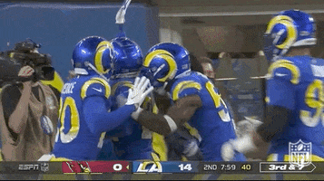 Los Angeles Rams Football GIF by NFL