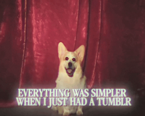 Corgi GIF by Yung Bae