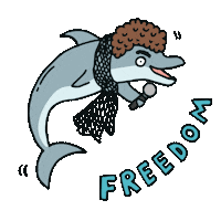 Freedom Dolphin Sticker by Bracenet