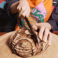 sourdoughdisco disco sourdough GIF