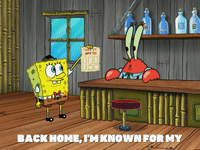 season 5 GIF by SpongeBob SquarePants