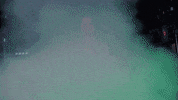 Track Bison GIF by NDSU Athletics