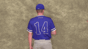 Cuw GIF by CUWFalcons