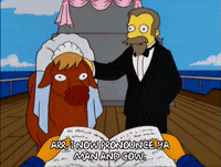 episode 12 GIF
