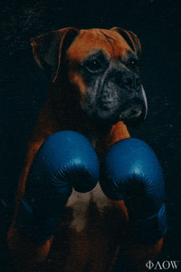 Love Dogs Dog GIF by George Longovitis