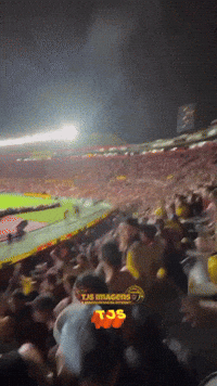 Tjs GIF