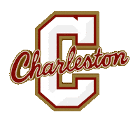 South Carolina Spin Sticker by #TheCollege
