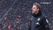 werder bremen bundesliga GIF