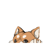 SIPHERxyz inu sipher sipherxyz sipherinu Sticker