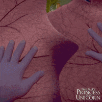 Family Film Animation GIF by Signature Entertainment