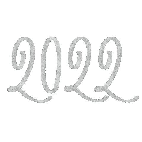 New Year Новый Год Sticker