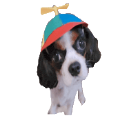 Dogs Puppy Sticker