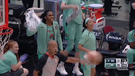 Excited New York GIF by WNBA