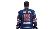 Hockey Phillips Sticker by Fehervar AV19