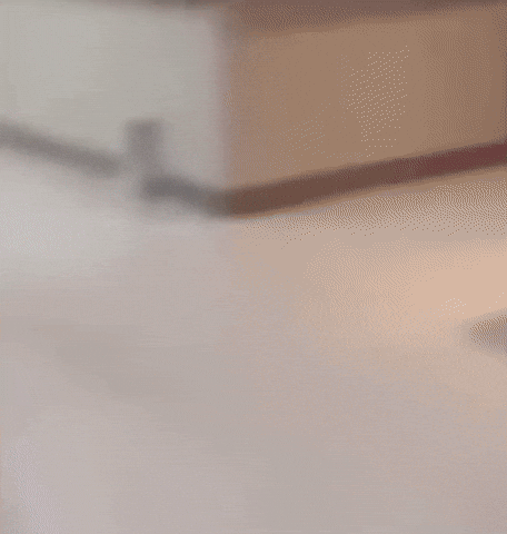 Run Running GIF