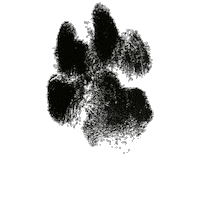 Petal Paw Print Sticker by Pup and Running