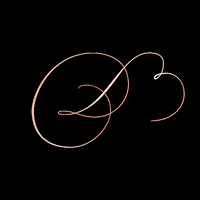 ariweinkle typography d ari weinkle growths GIF