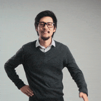 somposeguros sompo somposeguros GIF