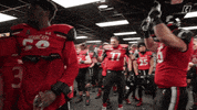 College Football GIF by Cincinnati Bearcats