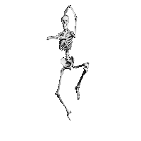 day of the dead dancing Sticker by Peter Bjorn and John
