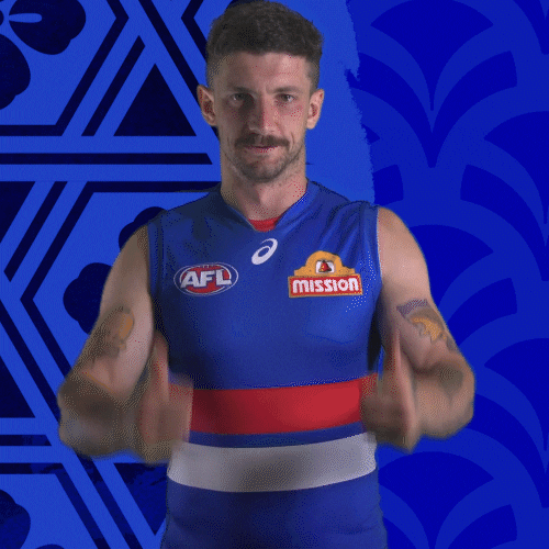 Aussie Rules Football Dogs GIF by Western Bulldogs