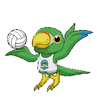 Sport Volleyball Sticker by VoyTuristeando