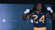 College Football GIF by WVU Sports