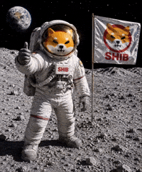 To The Moon GIF by SHIB GIFS