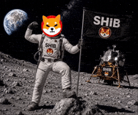 Shiba Inu GIF by SHIB GIFS