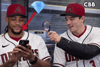Arizona Diamondbacks Baseball GIF