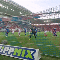 1 Fc Cologne Football GIF by 1. FC Köln