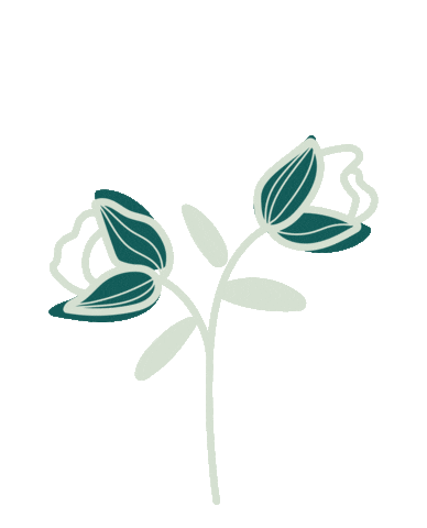 Spring Re Sticker by Kansas City Furnishing Company