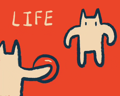 abitan cat cartoon fail life GIF