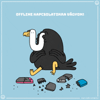 kekvonal animal kékvonal kék vonal GIF