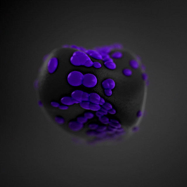 xponentialdesign loop kids ball candy GIF