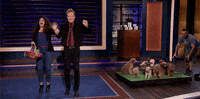 Excited Sona Movsesian GIF by Team Coco