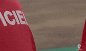 Finish Line Racing GIF by Mecanicus