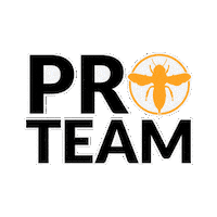 Stencil Proteam Sticker by Hornetart