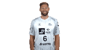 Hallo Handball-Bundesliga Sticker by LIQUI MOLY HBL