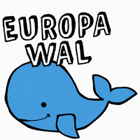 campact_ev vote wahl sterne wale GIF