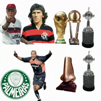 Zico Deyverson GIF