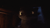 Dragon Pity GIF